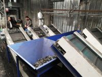 kömür ayıklama hattı